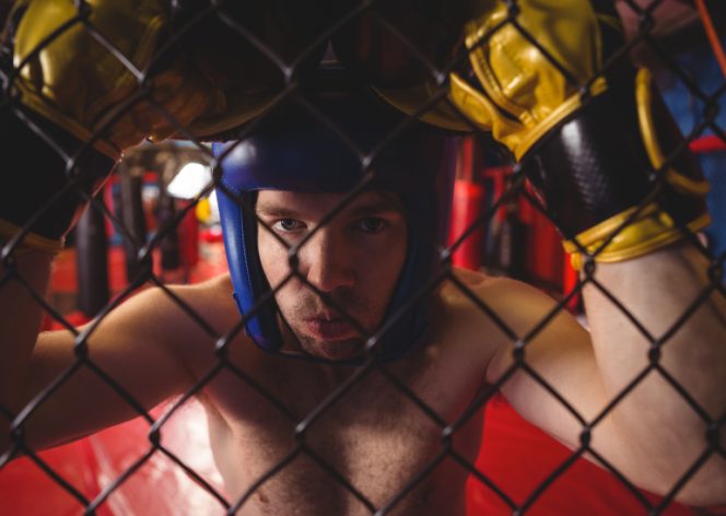 The Evolution of Striking in MMA – From Karate to Knockouts